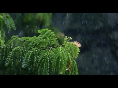 Latin America Webinar 1 The Importance Of Water Reuse 28 May 2025 NWP