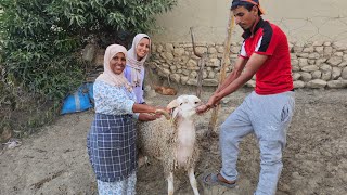 مشينا نشريو الحولي🐏العيد لي بغا يشري تمان 💸مناسب رقم تيلفون مول الحولي مرحبا لي بغا يشري🤗0775645391