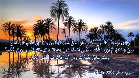 أجمل وأروع صوت الشيخ أبوبكر مومني -  سورة فاطر (028-035) الجزء الاول