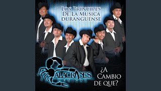 Video thumbnail of "Alacranes Musical - Siempre En Mi Mente"