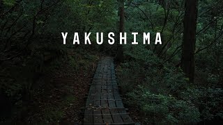 Hiking at Yakushima Island  Panasonic GH5 Travel Video