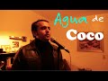 Agua de Coco &ndash; Marcos Valle Cover | Brazilian Bossa Nova Guitar by Vikram B. Pinto