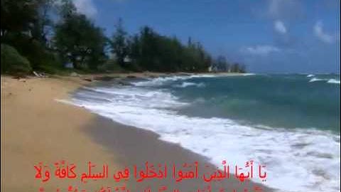 معاذ زغبي وتلاوة رائعة ومؤثرة"من الناس من يعجبك قوله"