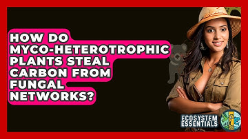 How Do Myco-heterotrophic Plants Steal Carbon From Fungal Networks? - Ecosystem Essentials