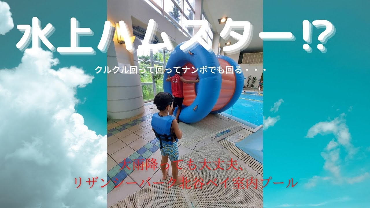 水上ハムスター プールの上でクルクル回る 大雨台風でも大丈夫 リザンシーパークホテル谷茶ベイ Youtube