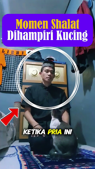 Prayer Moment Failed Because of Approach by a Cat