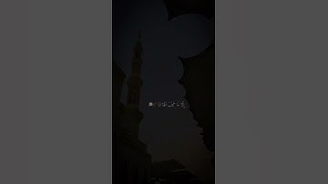 قُل لن يصيبنا إلا ما كتب الله لنا 🤍🍃| قرآن كريم  _ ريح مسمعك