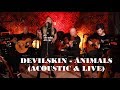 Devilskin - Animal (Acoustic Version) Performed For The 2017 VNZMA's.