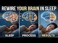 Your Hippocampus Never Stops Working—Here's What It Does in the Dark