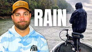 BASS FISHING  What To Do After RAIN