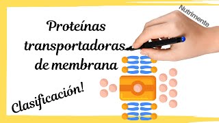 CLASIFICACIÓN de las proteínas TRANSPORTADORAS de membrana