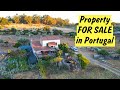 Small homestead for sale in alcains castelo branco central portugal  property tour