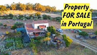 Small Homestead For Sale in Alcains, Castelo Branco (Central Portugal  Property Tour)