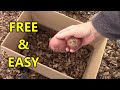 Planting POTATOES In FREE Containers SIMPLE and EASY