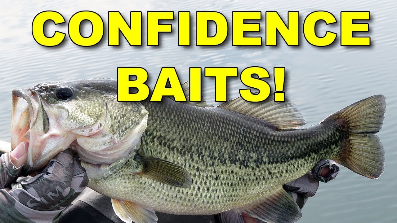 Watch Secret Confidence Baits of the Pros!