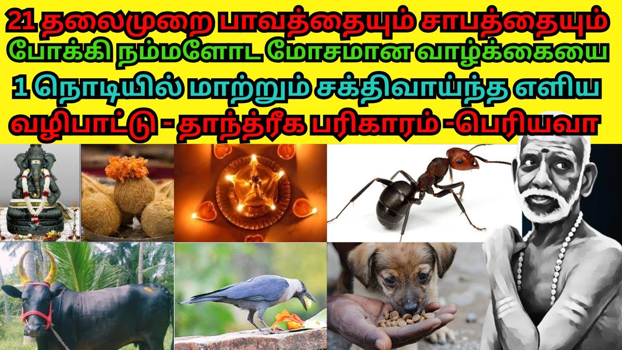 நம்மளோட மோசமான வாழ்க்கையை 1நொடியில்மாற்றும் சக்திவாய்ந்த எளியவழிபாட்டு தாந்த்ரீக பரிகாரம் -பெரியவா