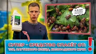 Супер средство. Натуральное. Спасет от тли, паутинного клеща, колорадского жука!