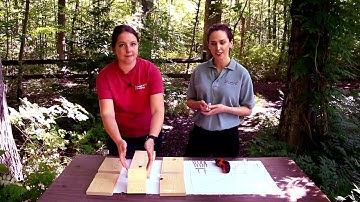 How to Assemble a Nest Box