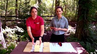 How to Assemble a Nest Box