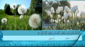 86- سورة نوح - شرح غريب القرآن - تقديم عماد بن أنور الديب