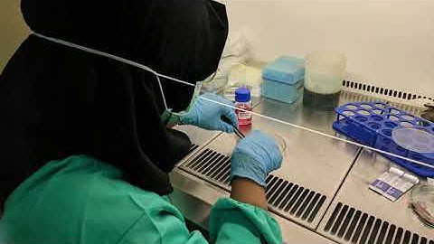 Alat Pendeteksi DBD Inovasi BPPT