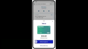 Visa Payment Passkey Service (Graphic: Business Wire)