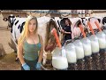 Dairy Farm Life Girls &amp; Cows Modern Milking Tech 2022 - Live Discoveries #HowItWorks