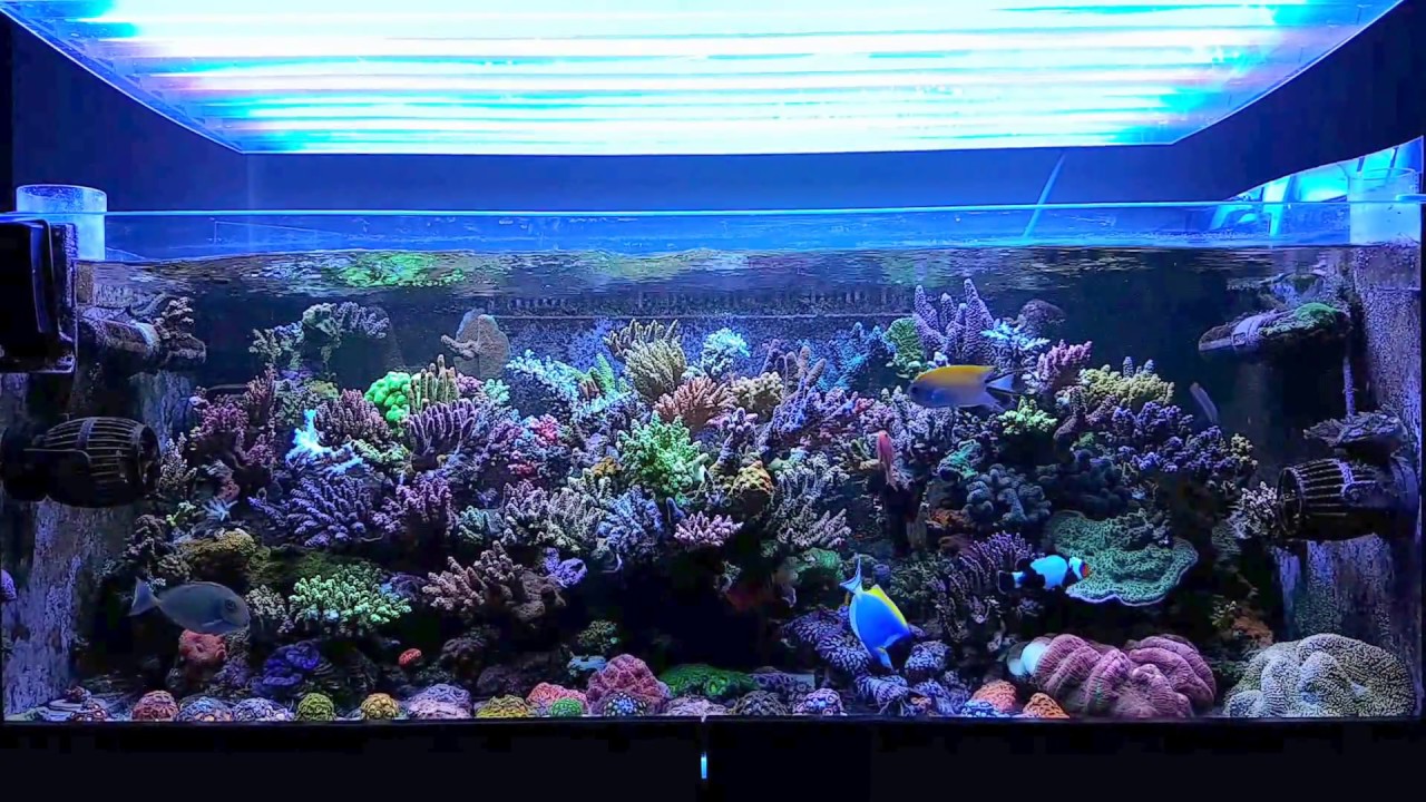 Just a moment before light is out