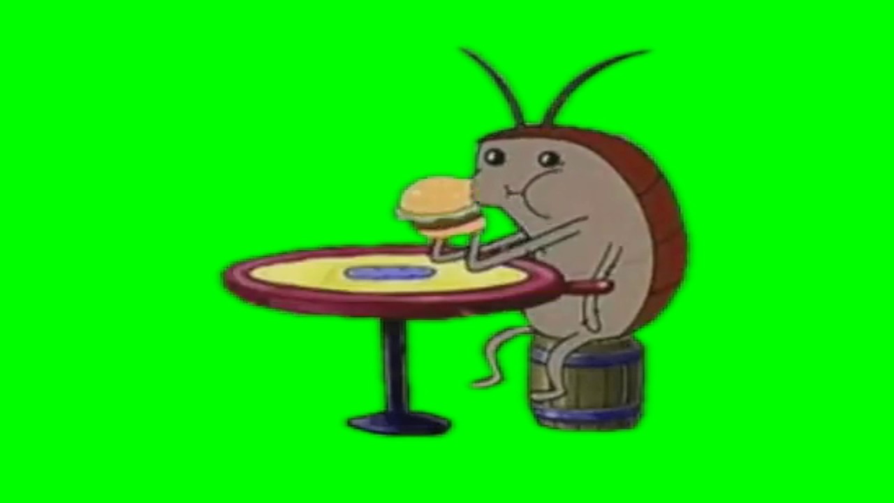 SpongeBob Green Screen Cockroach Eating Krabby Patty YouTube