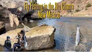 Catching Rainbow Trout🎣 on The Rio Chama New Mexico🔥#rainbowtrout #flyfishing #newmexico #hookedem