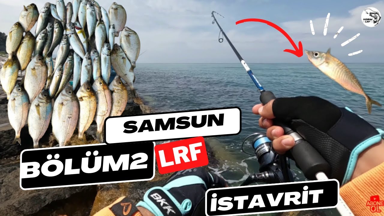 LRF İLE SAMSUN' DA İSTAVRİT -İSPARİ AVLADIK BOŞ YOK KALAMALAR YANDI !!!