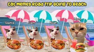 Cat Memes Road Trip Going To Beach