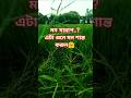 সুরা মুলক Surah Mulk #reels #suramulk #duet #motivation #shorts #surah #সুরামুলক #music #suraan #সব