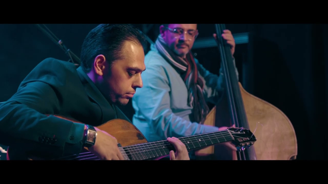 Angelo Brand Poinciana