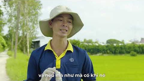 Quản lý cỏ nhẹ công, tiết kiệm nhờ Council Complete 300SC