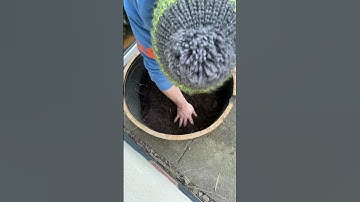 How to fill a container or raised bed cheaply