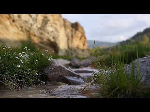 Relaxing River Water Flow for Peaceful Night