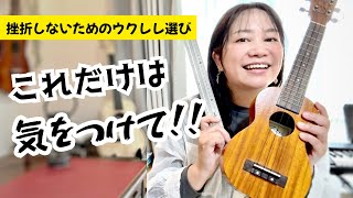 【2026年最新版】挫折しないウクレレ選び