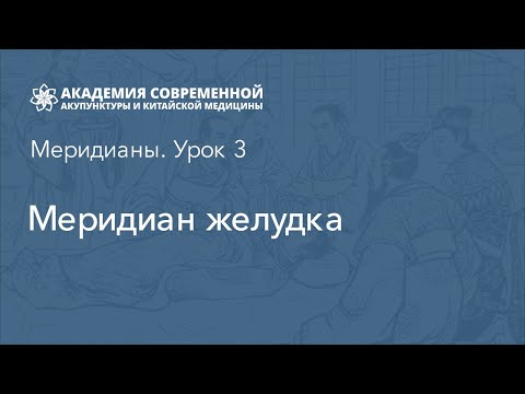 Меридиан желудка. Обучение рефлексотерапии. Академия акупунктуры Акумед.