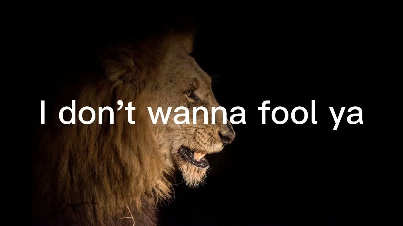 照井利幸　Signals / NAKED FOOL Bob Marley - Stiff Necked Fools (lyrics) - YouTube
