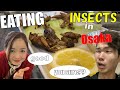 EATING INSECTS IN OSAKA !? with Vietnamese friend　爬虫類にテンション上がりまくるベトナム美人