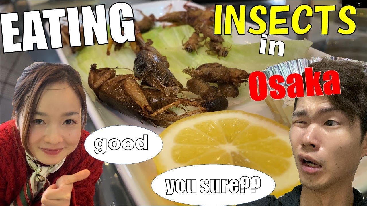 EATING INSECTS IN OSAKA !? with Vietnamese friend　爬虫類にテンション上がりまくるベトナム美人