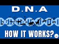 Decoding DNA: Unraveling The Blueprint Of Life