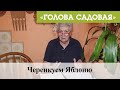 Голова садовая - Черенкуем Яблоню