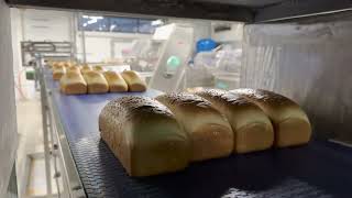 Автоматическая линия производства формового хлеба с кунжутом 1350 кг/ч (Made in Russia)