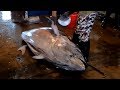 Asia Food - 500 lbs GIANT BLUEFIN TUNA FISH CUTTING - 街頭美食 - 巨大黑鮪魚切割