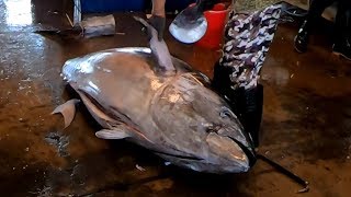 Asia Food - 500 lbs GIANT BLUEFIN TUNA FISH CUTTING - 街頭美食 - 巨大黑鮪魚切割