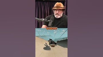 Joe Rogan Shocked By Slime Mold Inteligence