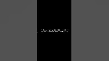 #القران_الكريم #سوره_النساء #محمد_اللحيدان #كرومات الآيات 154 _ 155