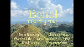 Bohol Country Tour | Loboc River, Chocolate Hills, Tarsier, Manmade Forest, Hinagdanan Cave★보홀섬 ボホール